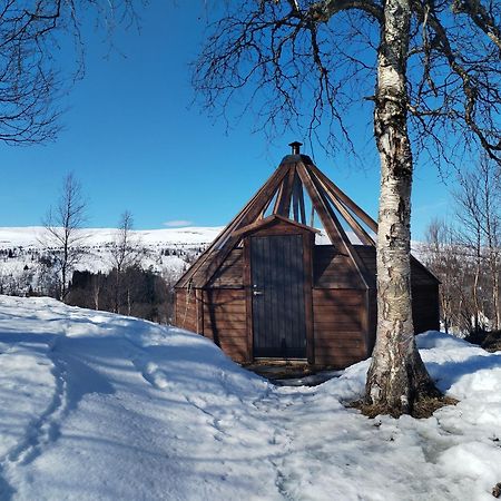 شقة Hessdalen Ufocamp Vårhus المظهر الخارجي الصورة