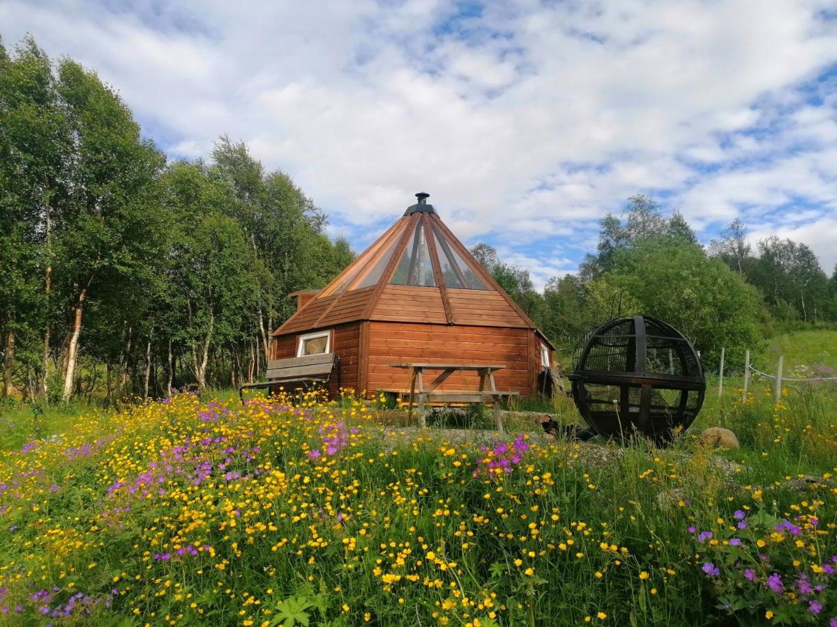 شقة Hessdalen Ufocamp Vårhus المظهر الخارجي الصورة