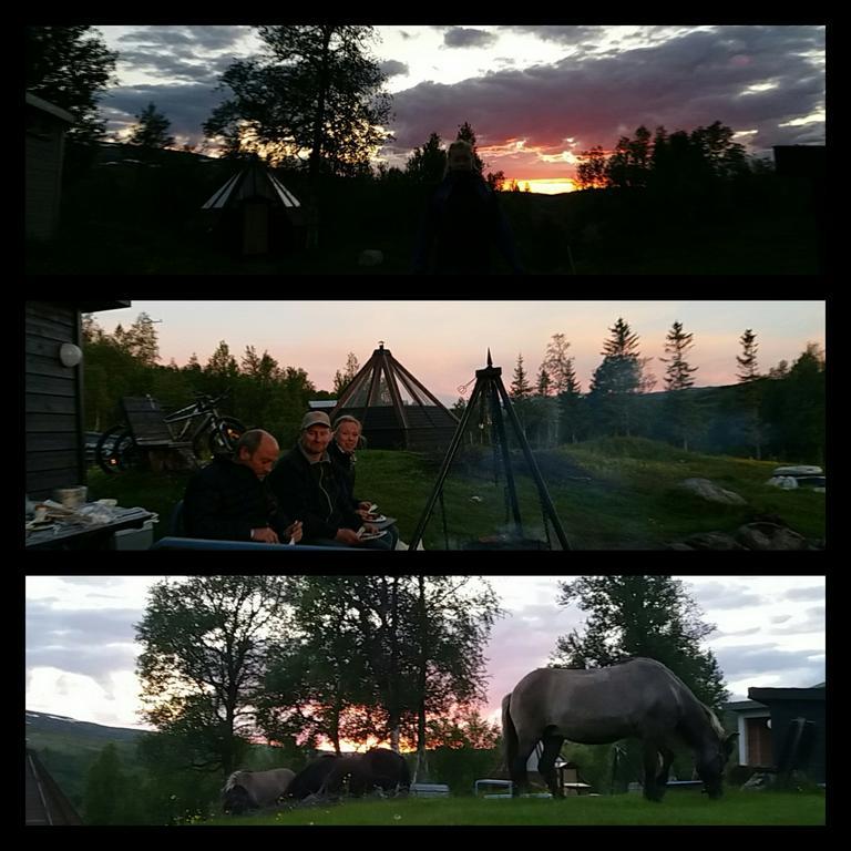 شقة Hessdalen Ufocamp Vårhus المظهر الخارجي الصورة