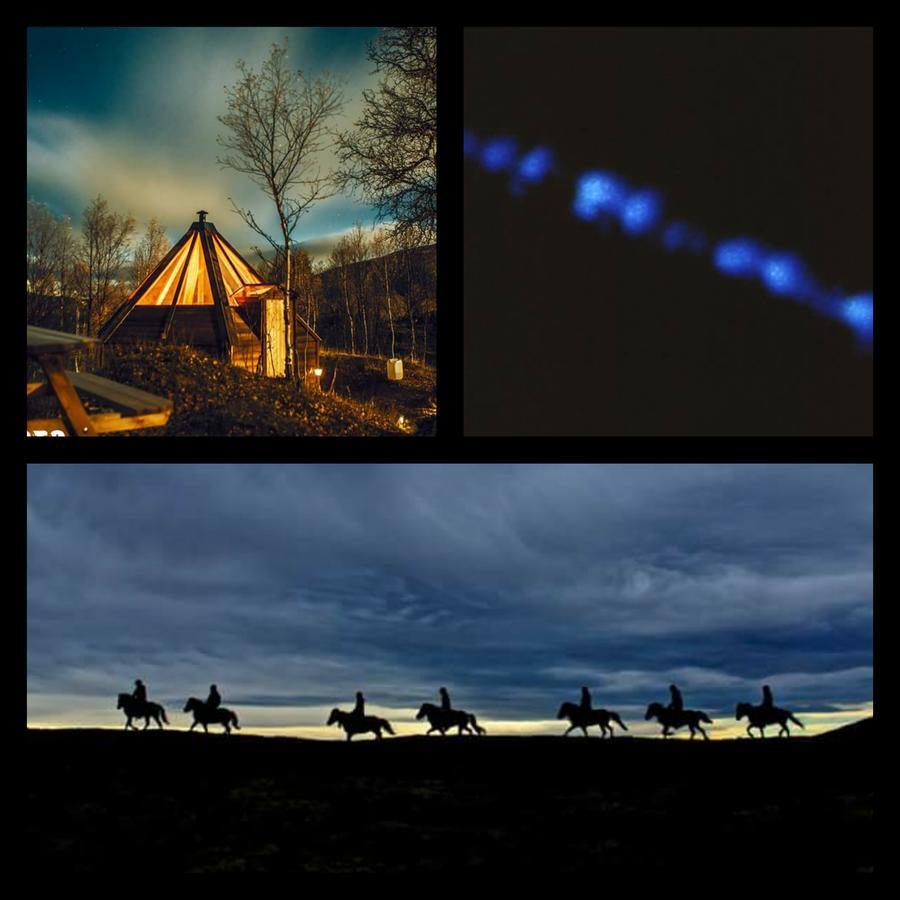 شقة Hessdalen Ufocamp Vårhus المظهر الخارجي الصورة