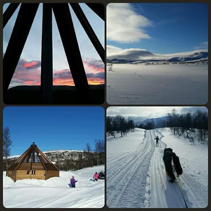 شقة Hessdalen Ufocamp Vårhus المظهر الخارجي الصورة